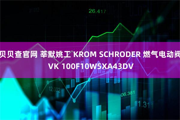 贝贝查官网 莘默姚工 KROM SCHRODER 燃气电动阀 VK 100F10W5XA43DV